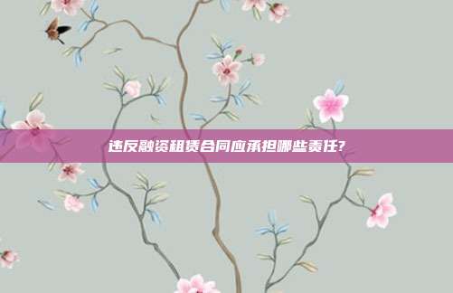 违反融资租赁合同应承担哪些责任?