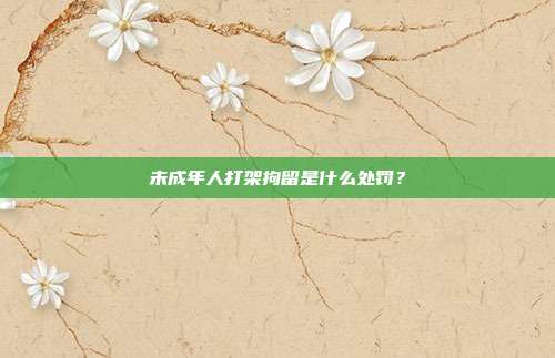 未成年人打架拘留是什么处罚?