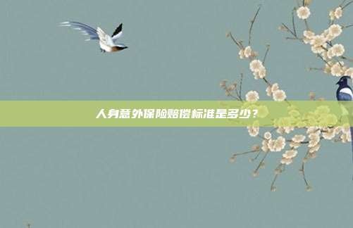 人身意外保险赔偿标准是多少?
