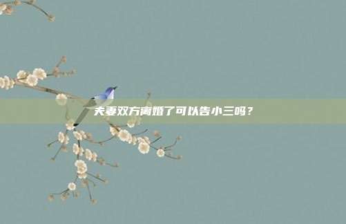 夫妻双方离婚了可以告小三吗?
