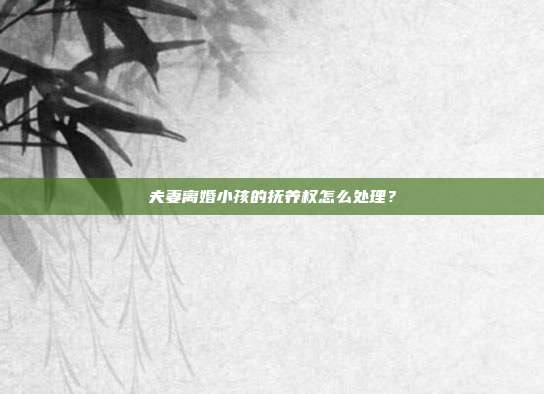 夫妻离婚小孩的抚养权怎么处理?