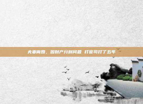 夫妻离婚,因财产分割问题 打官司打了五年