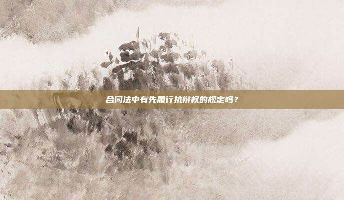 合同法中有先履行抗辩权的规定吗?