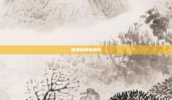 借条拍照有用吗