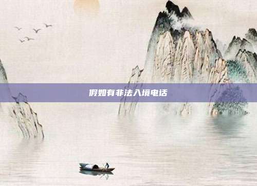 假如有非法入境电话