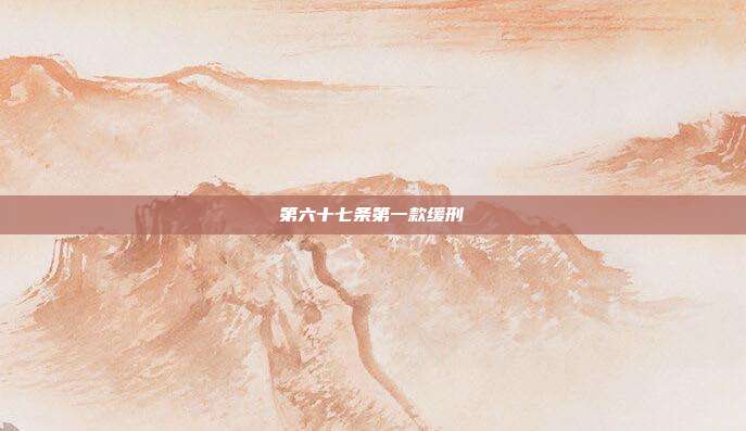 第六十七条第一款缓刑