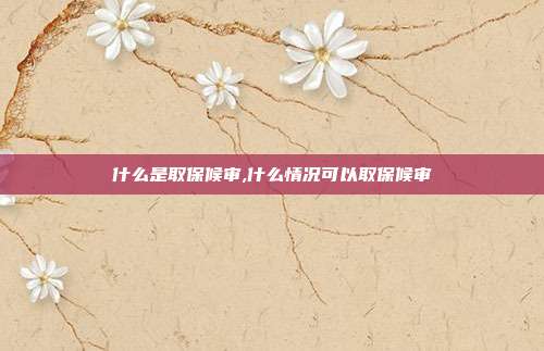 什么是取保候审,什么情况可以取保候审